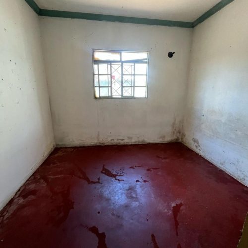 WhatsApp Image 2025-03-31 at 13.05.45 (1)